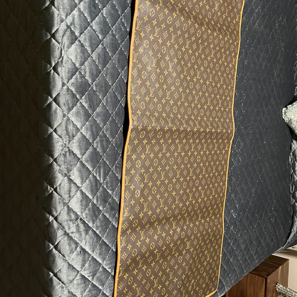Louis Vuitton garment bag vintage